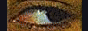 eyes