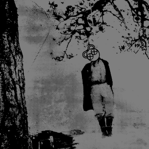 bear10
