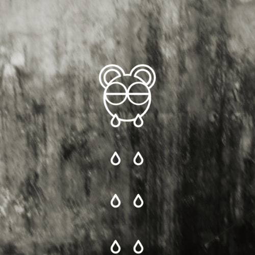 bear11